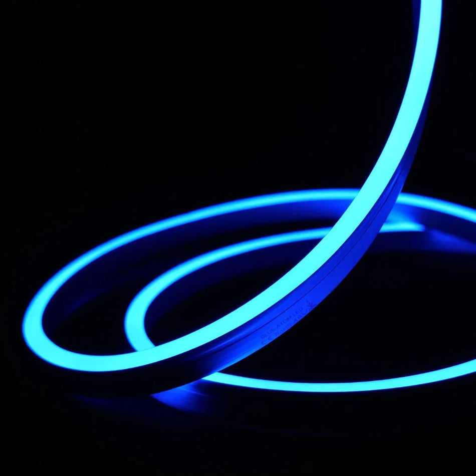 Extra Long Blue Neon Flex 48V 10x20mm IP68 Waterproof 30m — House of LEDs UK