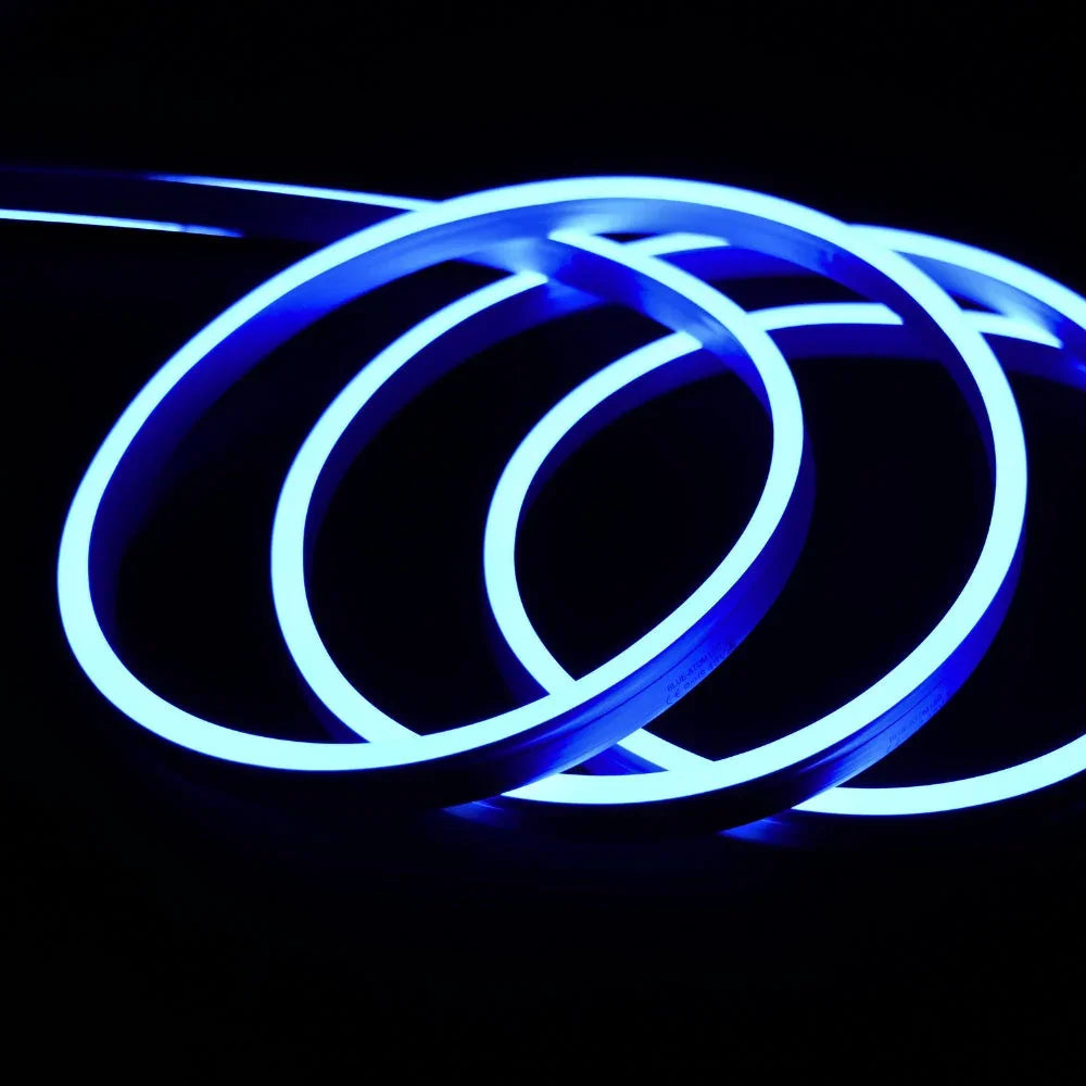 Extra Long Blue Neon Flex 48V 10x20mm IP68 Waterproof 30m — view 4 — House of LEDs UK