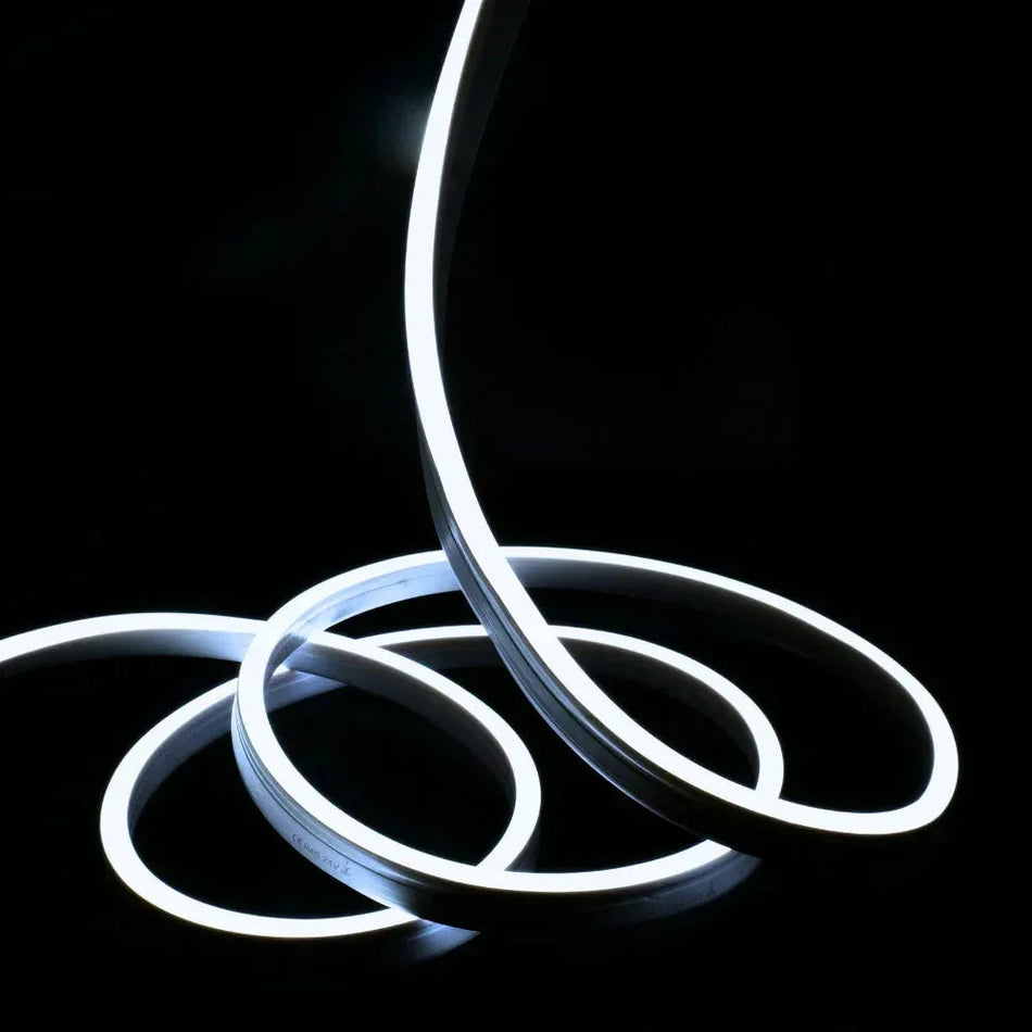 Cool White Neon Flex 6000K 48V 10x20mm IP67 Waterproof 50m — House of LEDs UK
