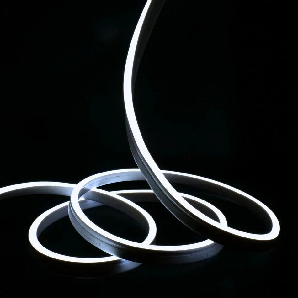 Cool White Neon Flex 6000K 48V 10x20mm IP67 Waterproof 50m — House of LEDs UK