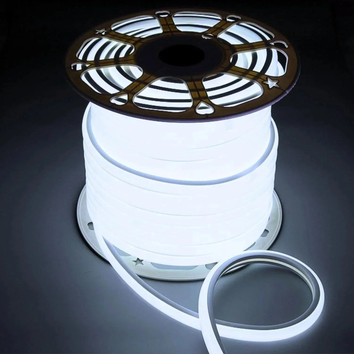 Cool White Neon Flex 16x16mm D Shape Top Bend 120LEDs/m 220V 240V IP65 with UK Plug — House of LEDs UK