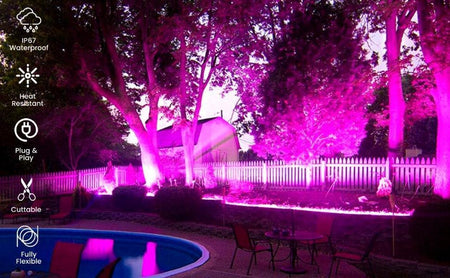 Pink LED Neon Flex 220V 240V 8x16mm 120LEDs/m IP67 Waterproof with UK Plug - ATOM LED