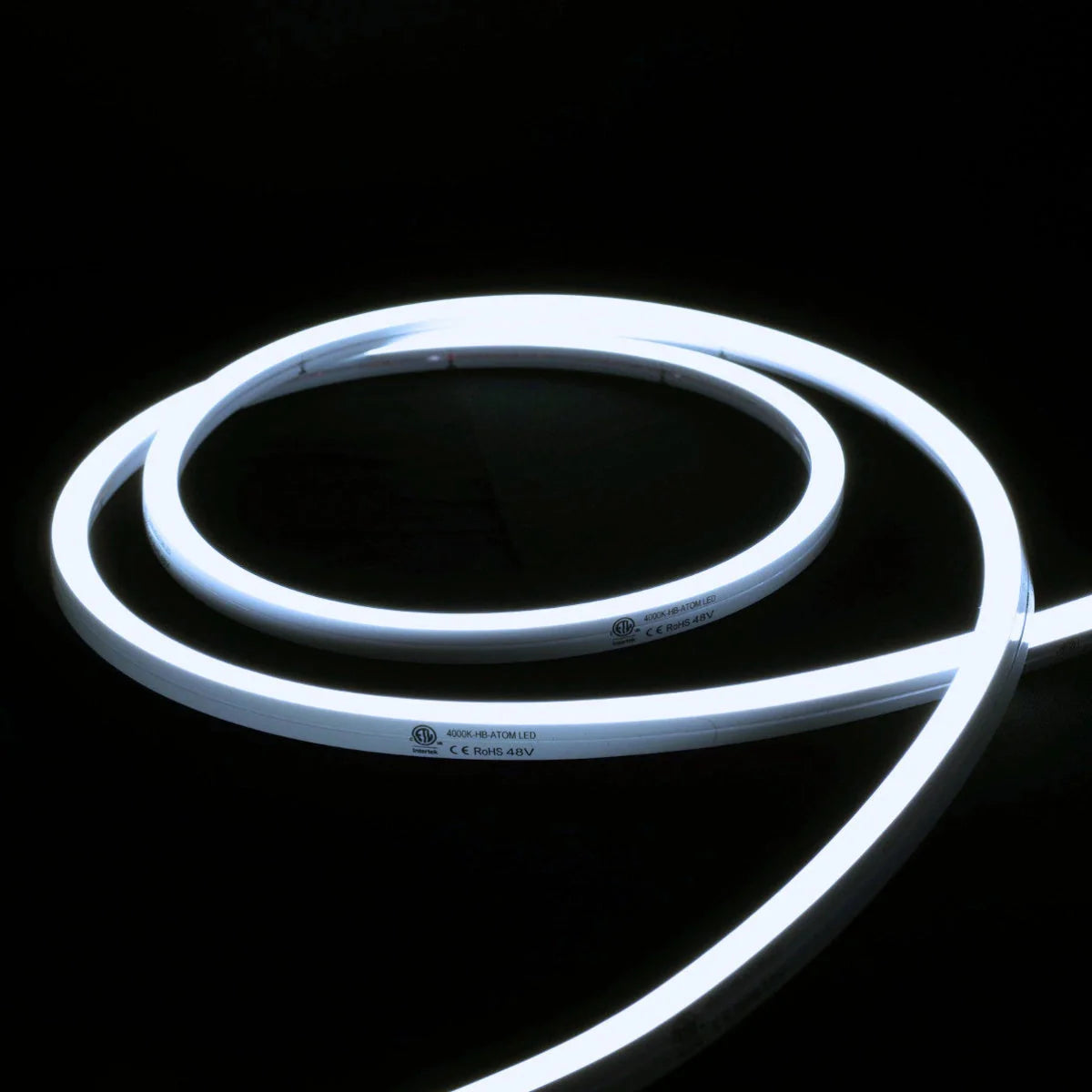 ATOM LED cool white 6000K 10x10mm side bend neon flex lighting a driveway edge in one continuous run — 48V IP67 waterproof