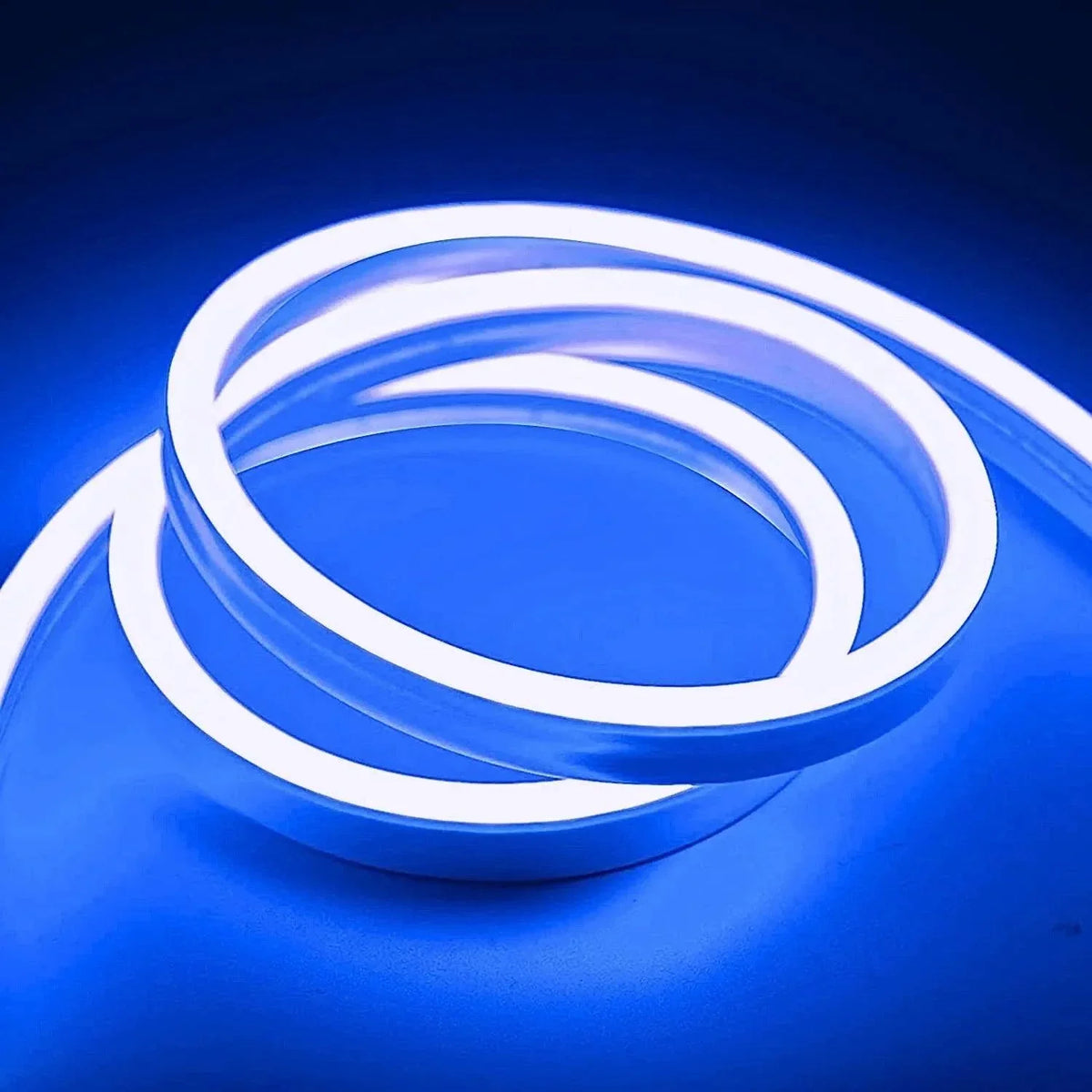 Blue LED Neon Flex 12V 8x16mm 120 LEDs/m IP65 Waterproof 5 Metre — view 4 — House of LEDs UK