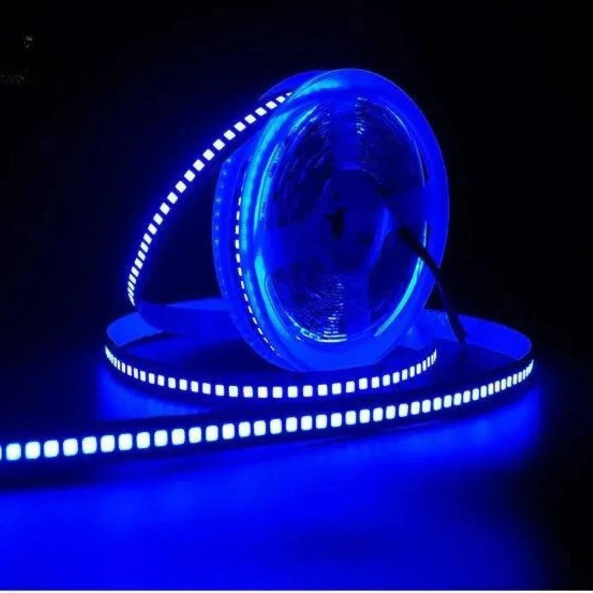 Blue LED Strip Light 12V 240 LEDs/m 1200 LEDs IP20 Non Waterproof 5 Metre Strip — House of LEDs UK