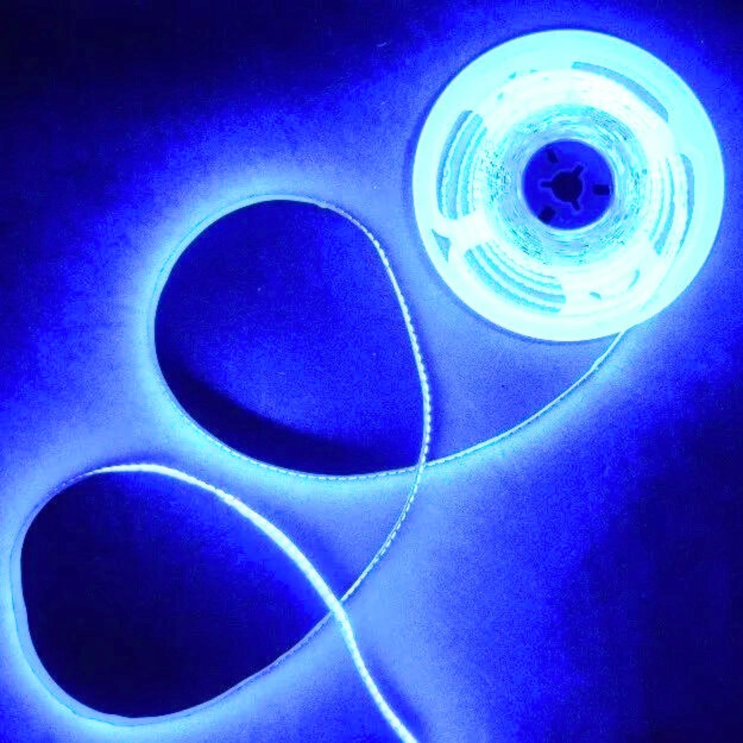 Blue LED Strip Light 12V 240 LEDs/m 1200 LEDs IP20 Non Waterproof 5 Metre Strip - House of LEDS