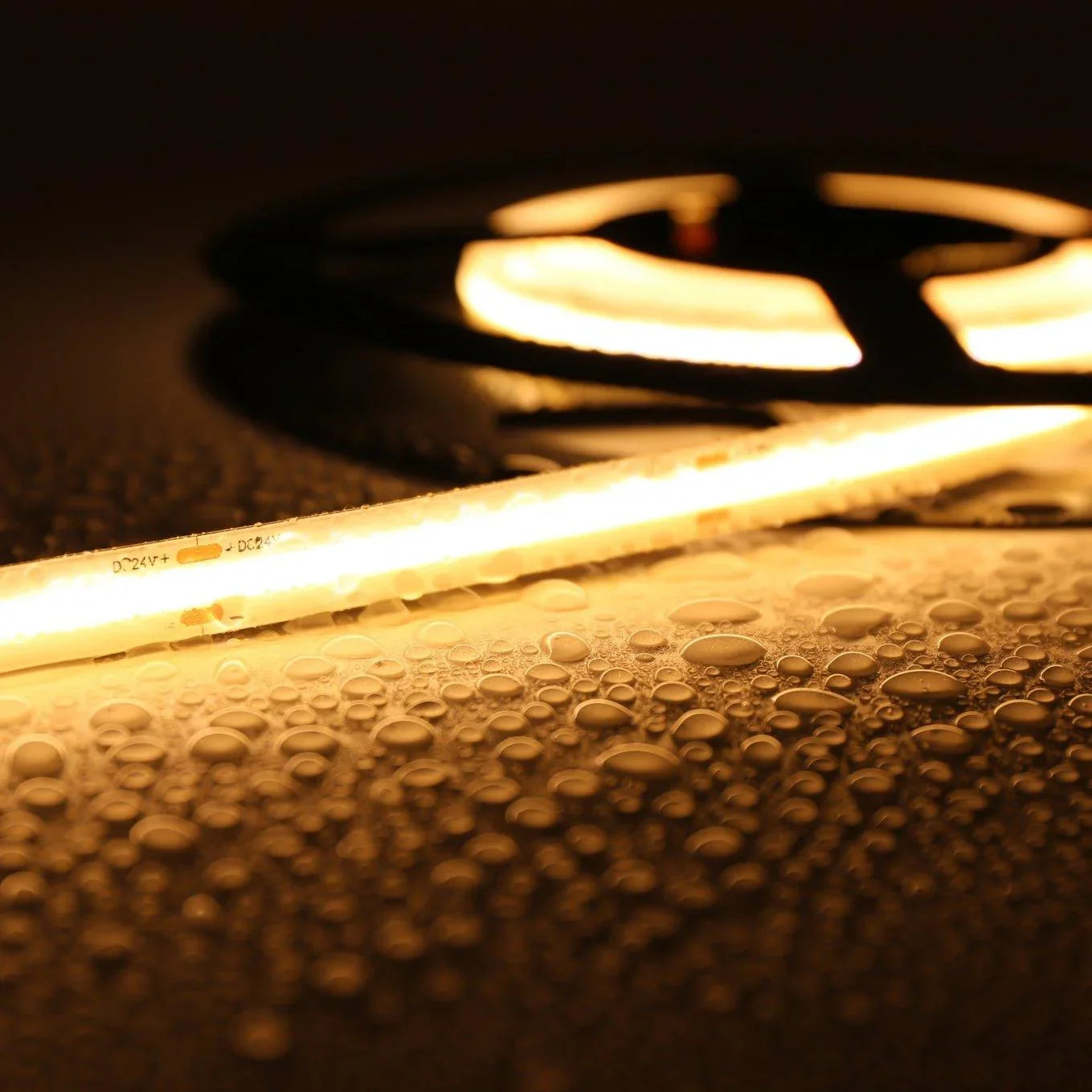 COB LED Strip Light Cool White 6000K 24V 352 LEDs/m IP20 Waterproof — view 6 — House of LEDs UK