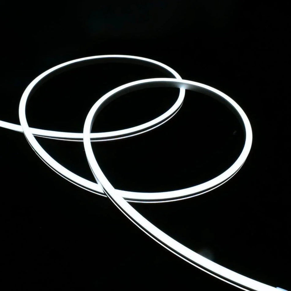 Cool White LED Neon Flex 12V 8x16mm 120 LEDs/m IP65 Waterproof 1cm Cut — House of LEDs UK
