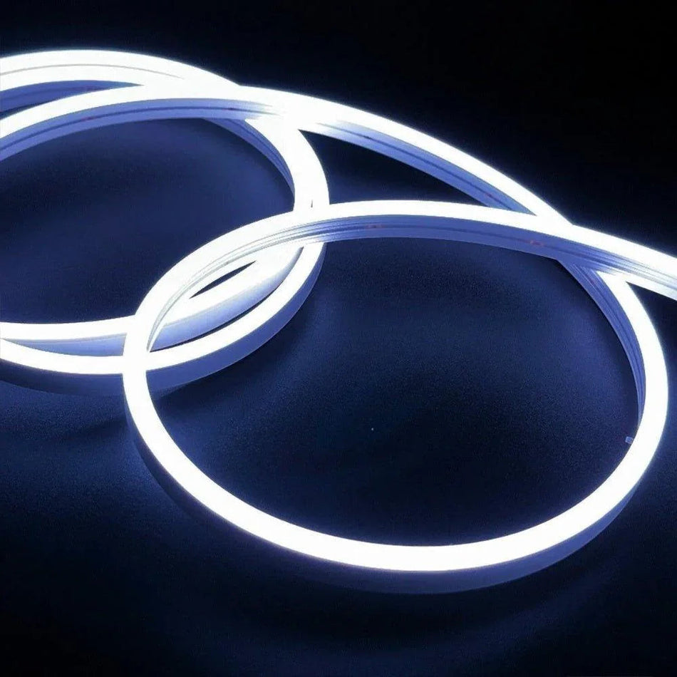 Cool White Neon Flex 6000K 12V 8x16mm 120 LEDs/m IP65 Waterproof 2.5cm Cut — House of LEDs UK