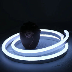 Cool White Neon Flex 6000K DC 12V IP65 Waterproof 8x16mm 120 LEDs/M Only - House of LEDS