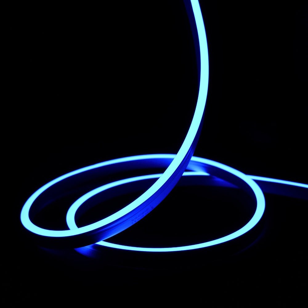 Extra Long Blue Neon Flex 48V 10x20mm IP68 Waterproof 30m - House of LEDS