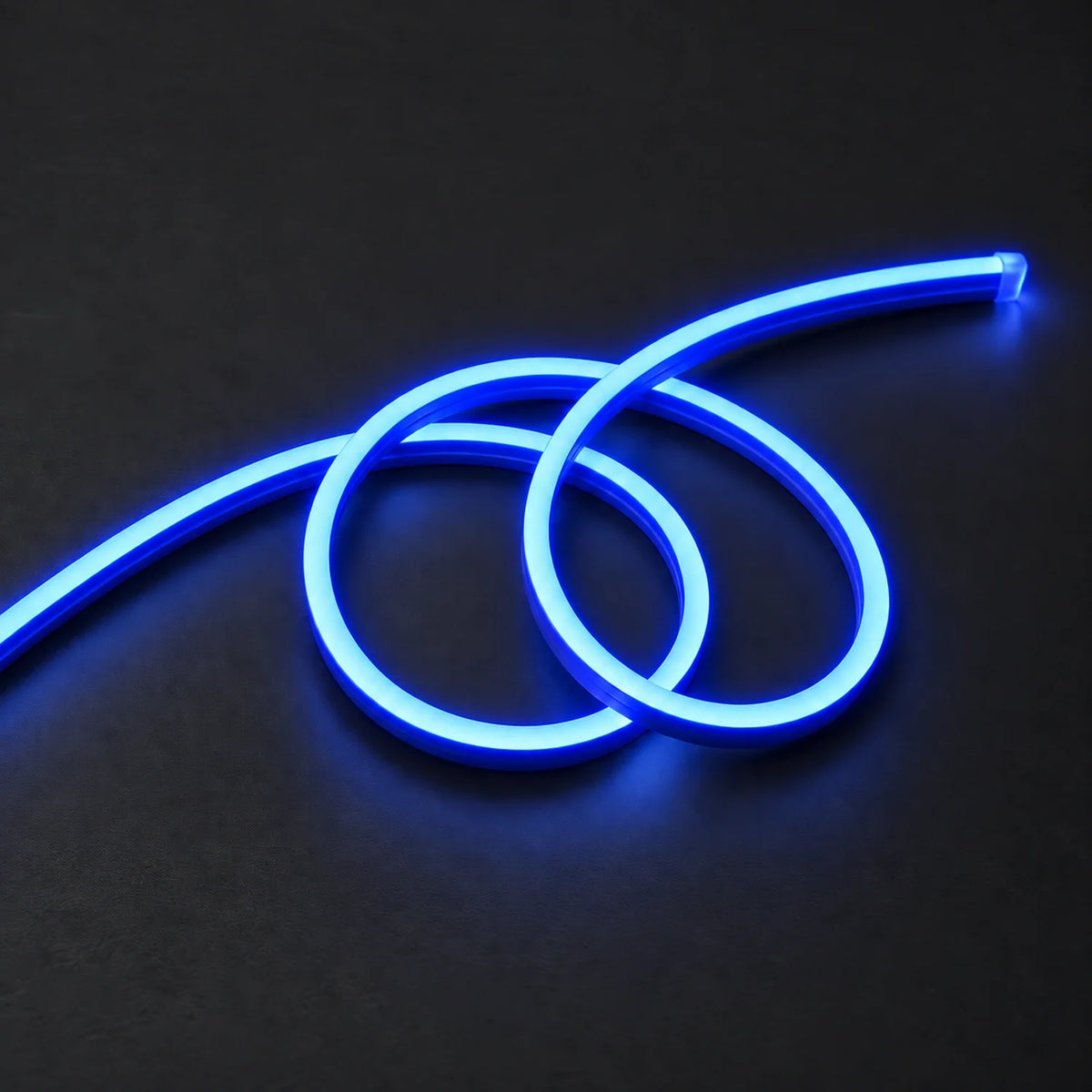 House of LEDs blue 8×16mm 220–240V neon flex in a double-loop arrangement on dark charcoal