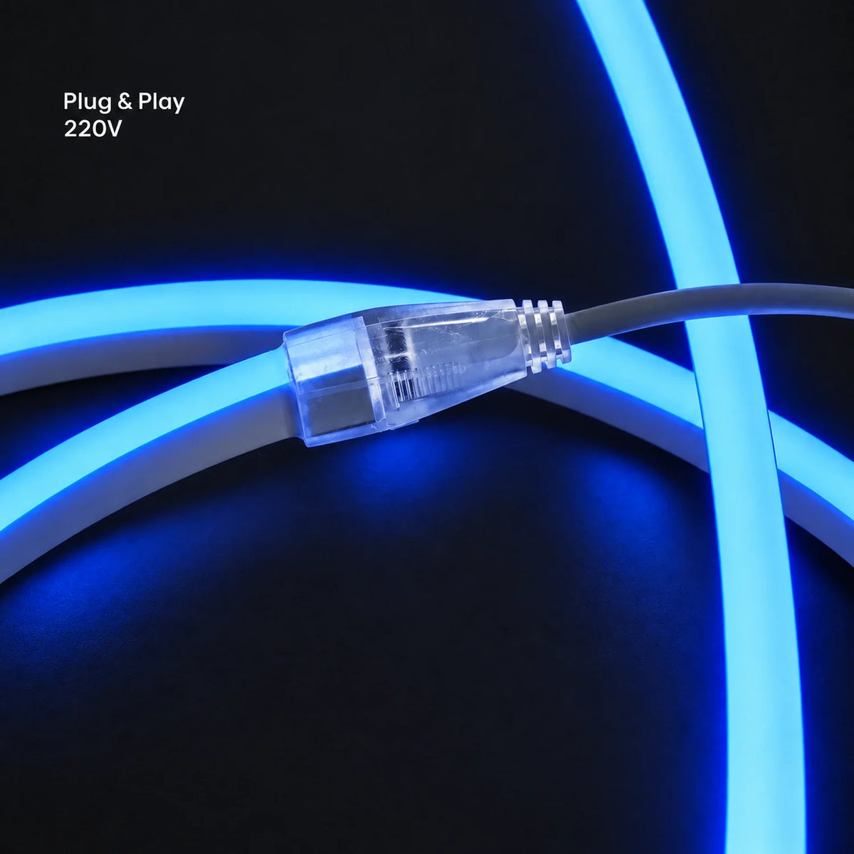 House of LEDs blue 8×16mm 220–240V plug-and-play neon flex