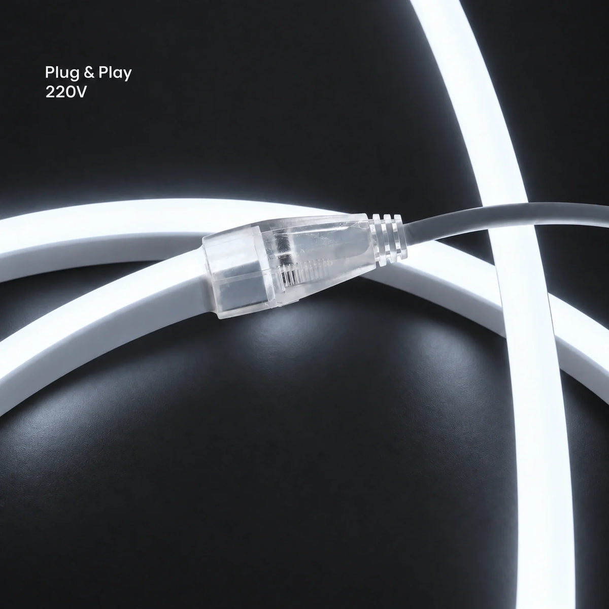House of LEDs cool white 8×16mm 220–240V plug-and-play neon flex