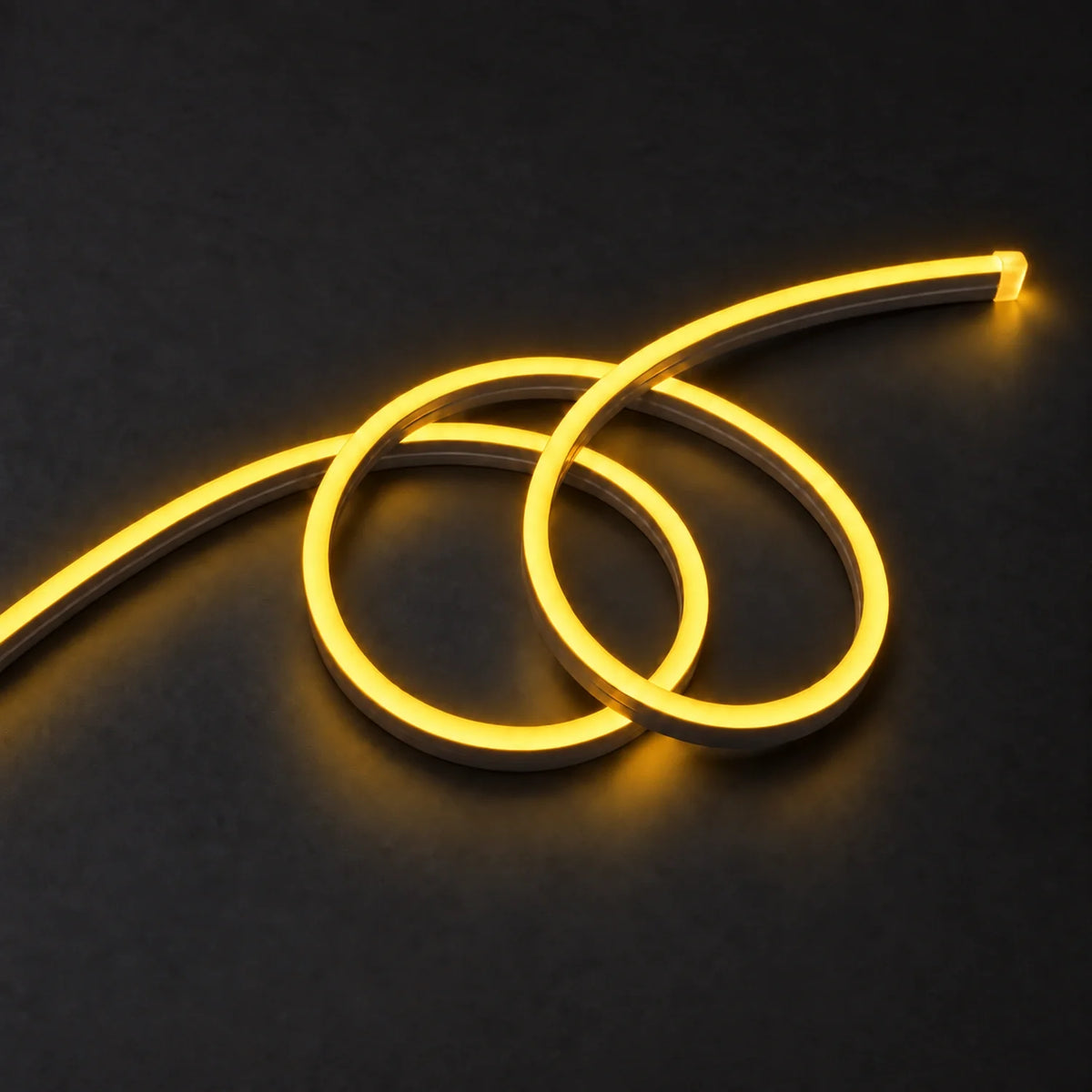 House of LEDs golden 8×16mm 220–240V neon flex in a double-loop arrangement on dark charcoal