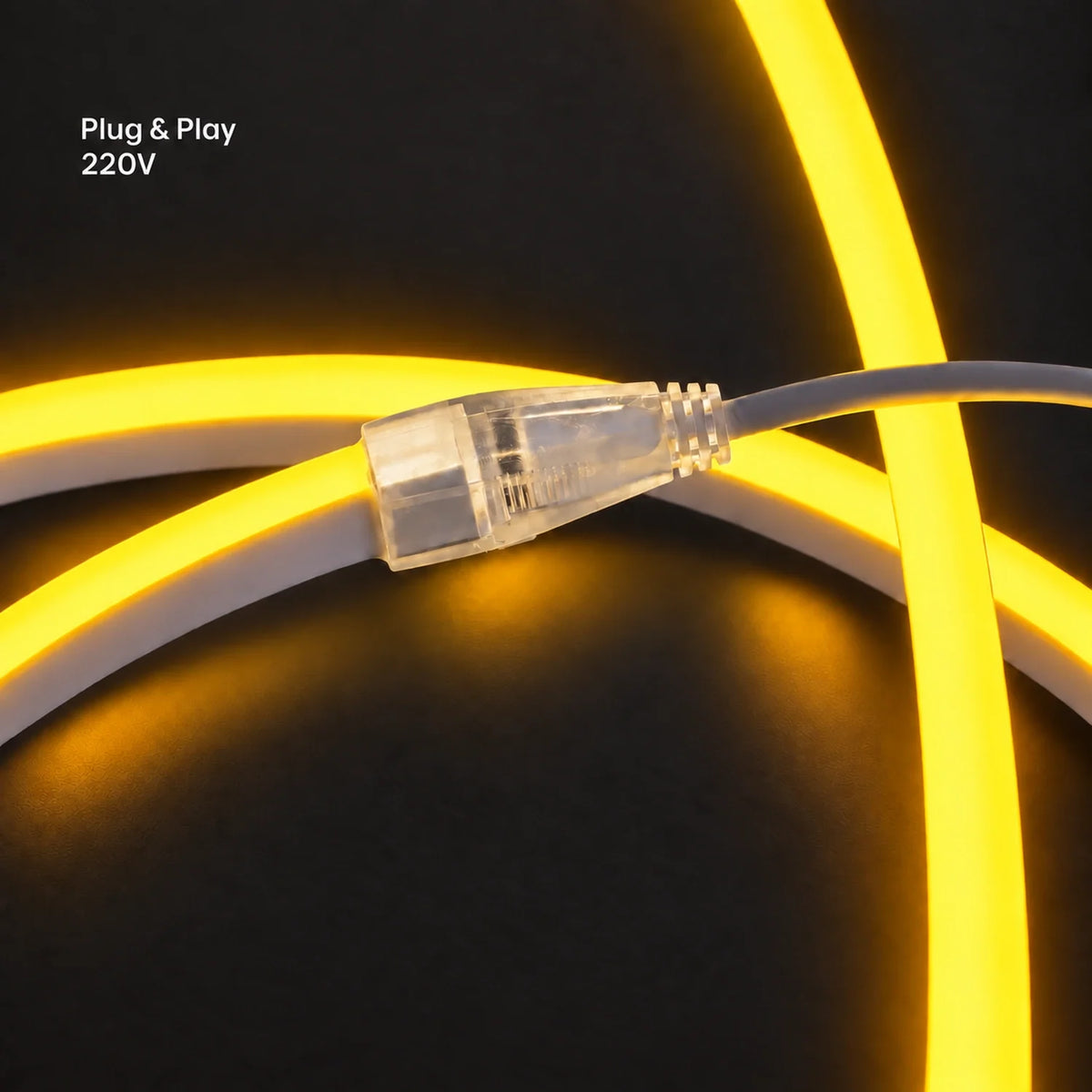 House of LEDs golden 8×16mm 220–240V plug-and-play neon flex