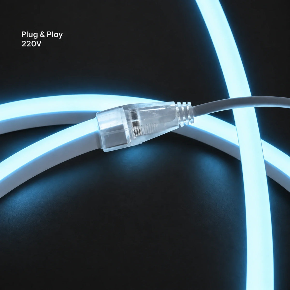 House of LEDs ice blue 8×16mm 220–240V plug-and-play neon flex