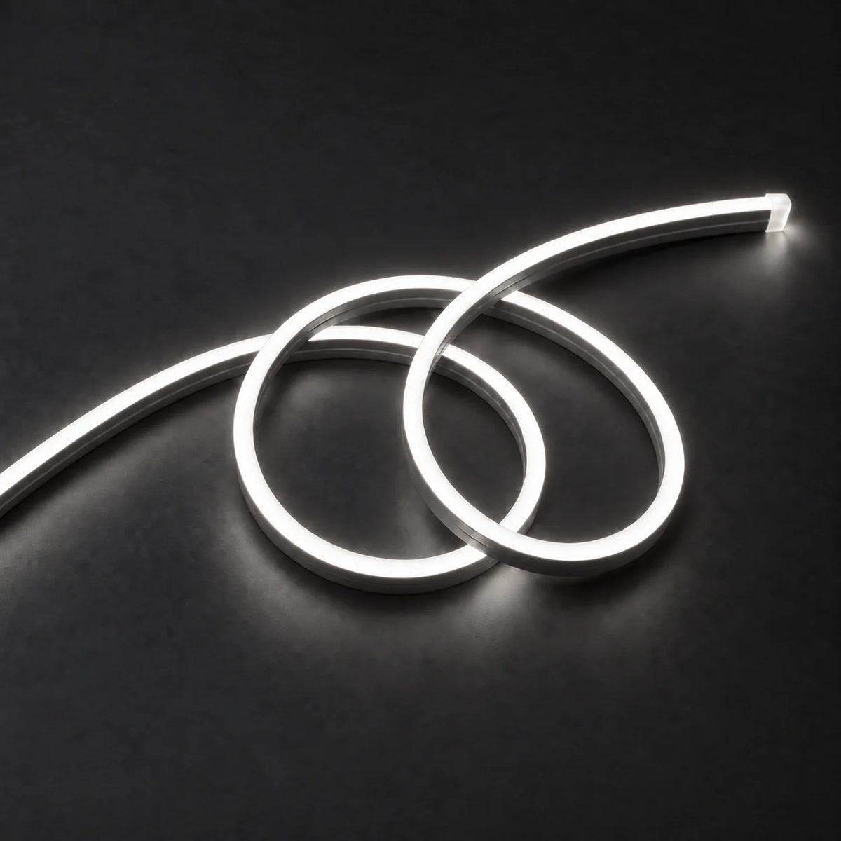 House of LEDs natural 4000k 8×16mm 220–240V neon flex in a double-loop arrangement on dark charcoal