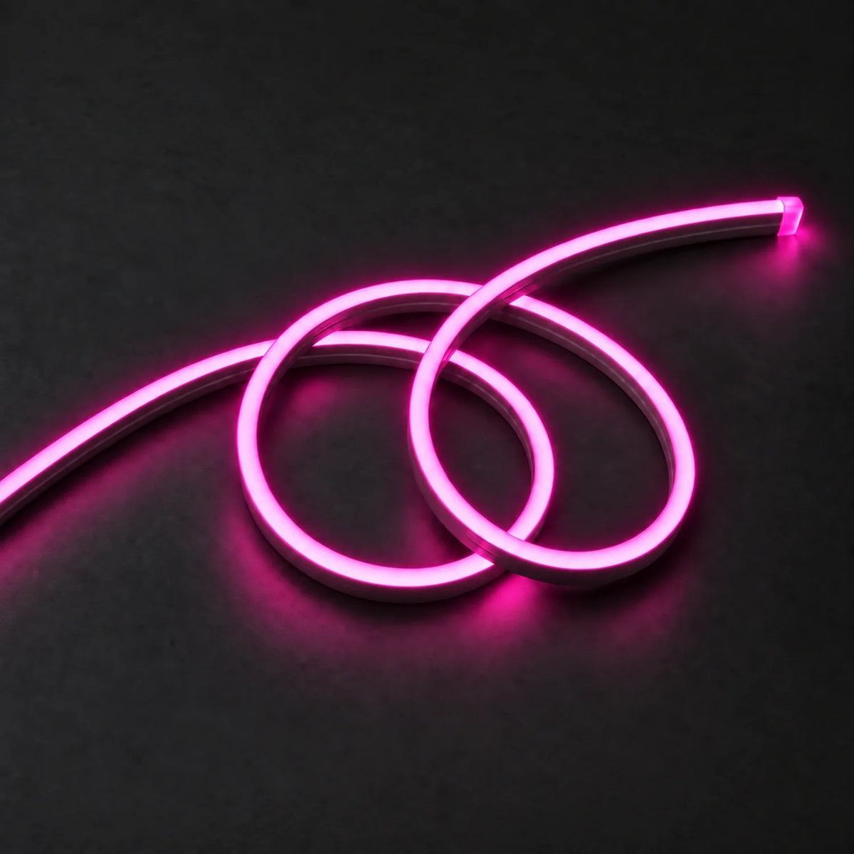 House of LEDs pink 8×16mm 220–240V neon flex in a double-loop arrangement on dark charcoal