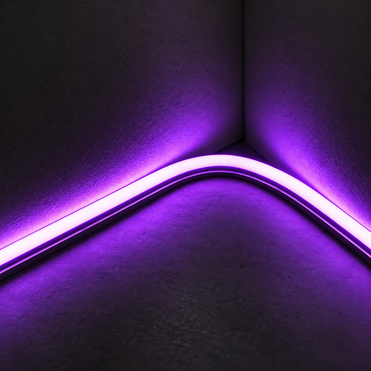 House of LEDs 8×16mm 220–240V purple neon flex illuminating a curved inside corner