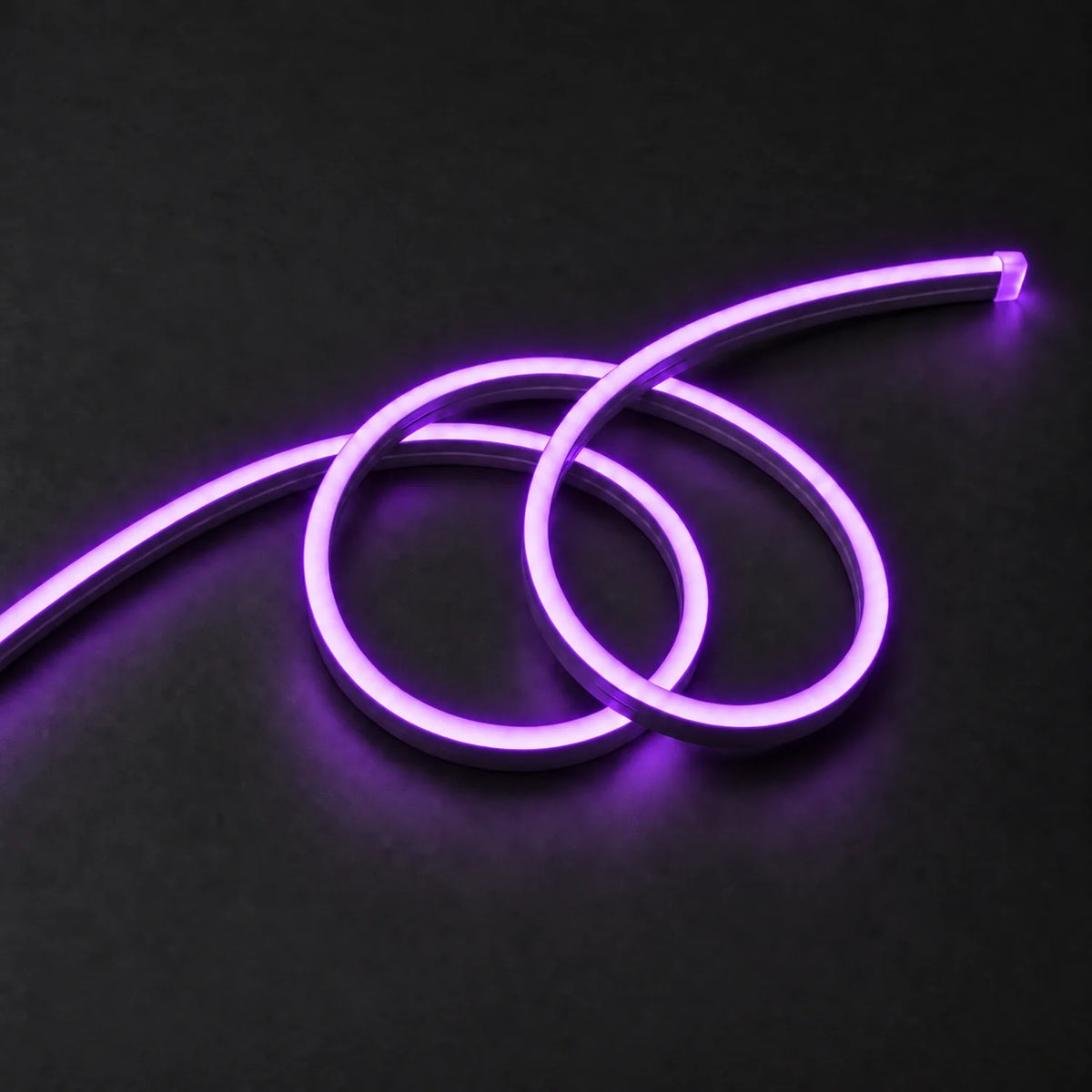 House of LEDs purple 8×16mm 220–240V neon flex in a double-loop arrangement on dark charcoal