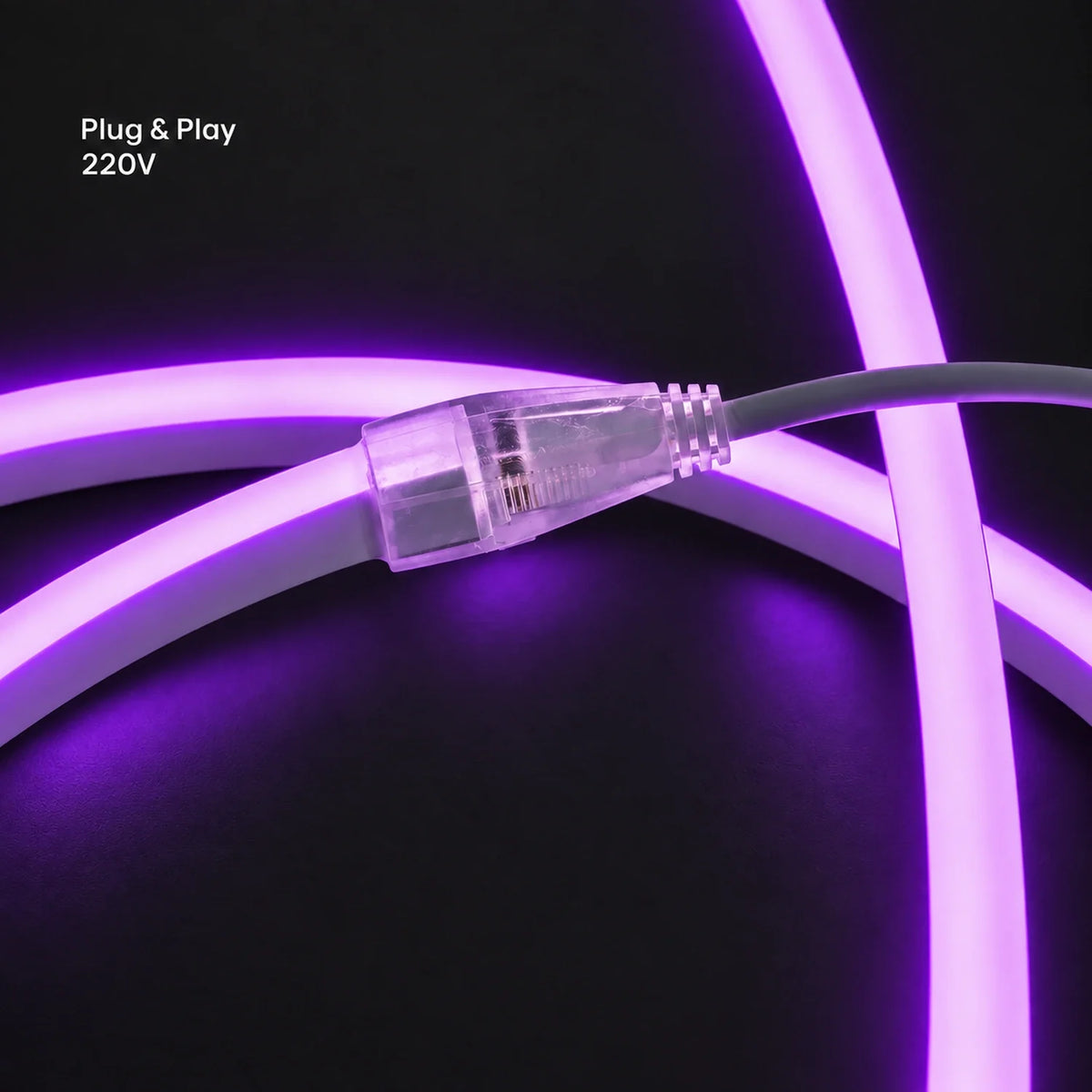 House of LEDs purple 8×16mm 220–240V plug-and-play neon flex
