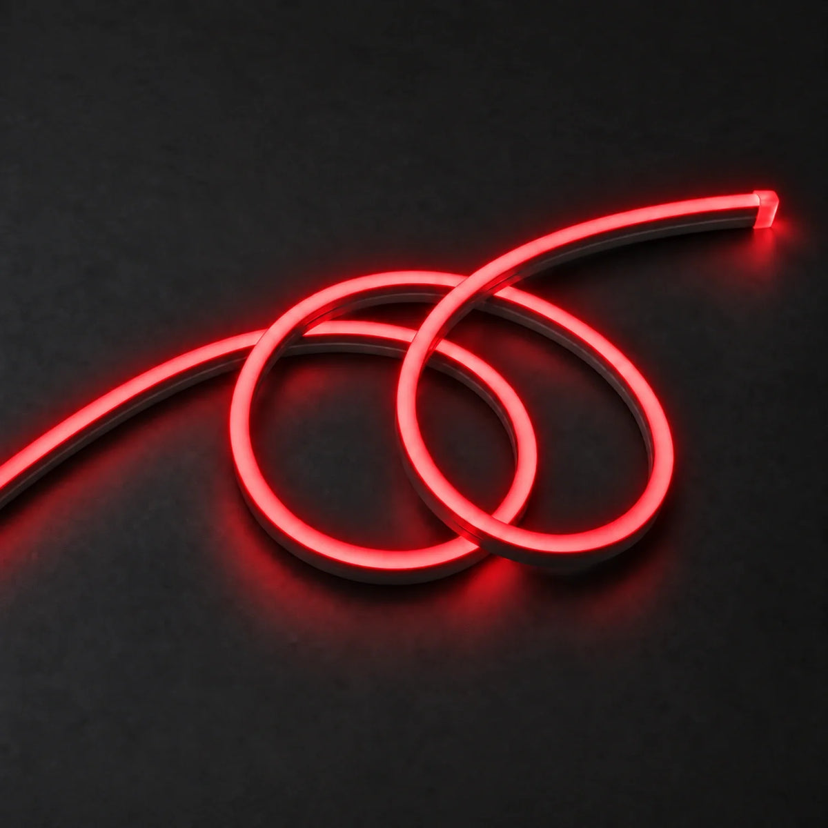 House of LEDs red 8×16mm 220–240V neon flex in a double-loop arrangement on dark charcoal