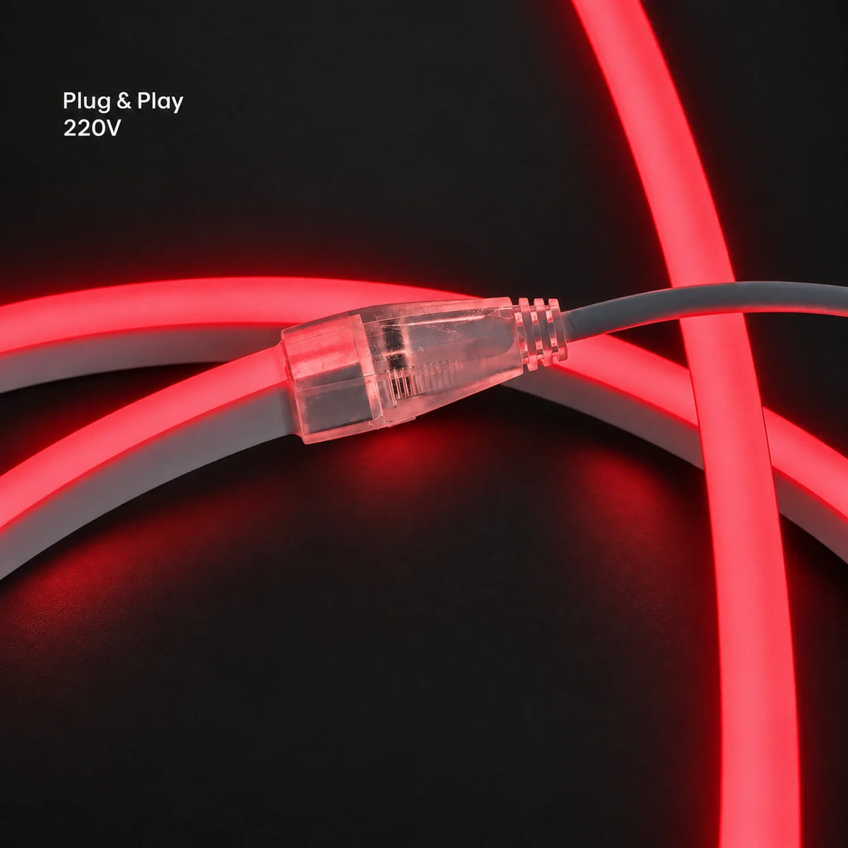 House of LEDs red 8×16mm 220–240V plug-and-play neon flex