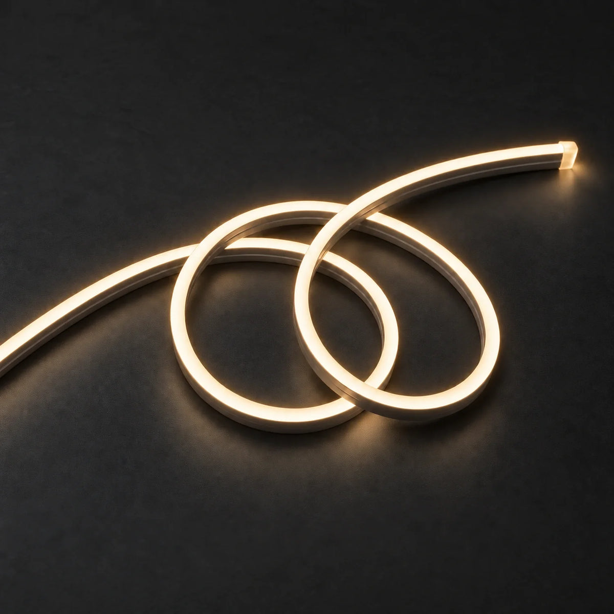 House of LEDs warm 2900k 8×16mm 220–240V neon flex in a double-loop arrangement on dark charcoal