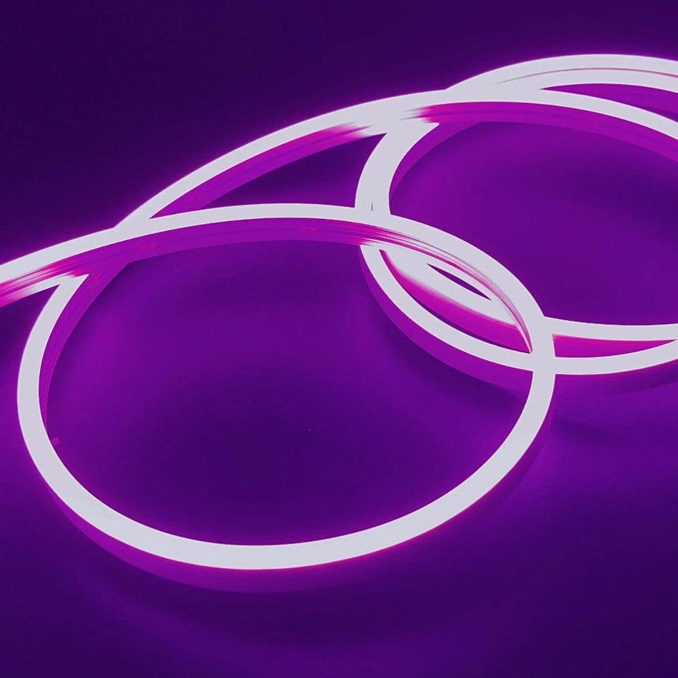 Mini Purple LED Neon Flex 12V 6x12mm 120LED/m IP65 Waterproof 1cm Cut — House of LEDs UK