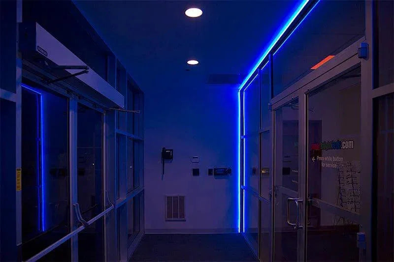 Blue LED Neon Flex AC 220V 240V 8x16mm 120LEDs/m IP65 Waterproof with UK Plug — view 20 — House of LEDs UK