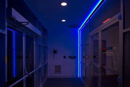Blue LED Neon Flex AC 220V 240V 8x16mm 120LEDs/m IP65 Waterproof with UK Plug — view 20 — House of LEDs UK