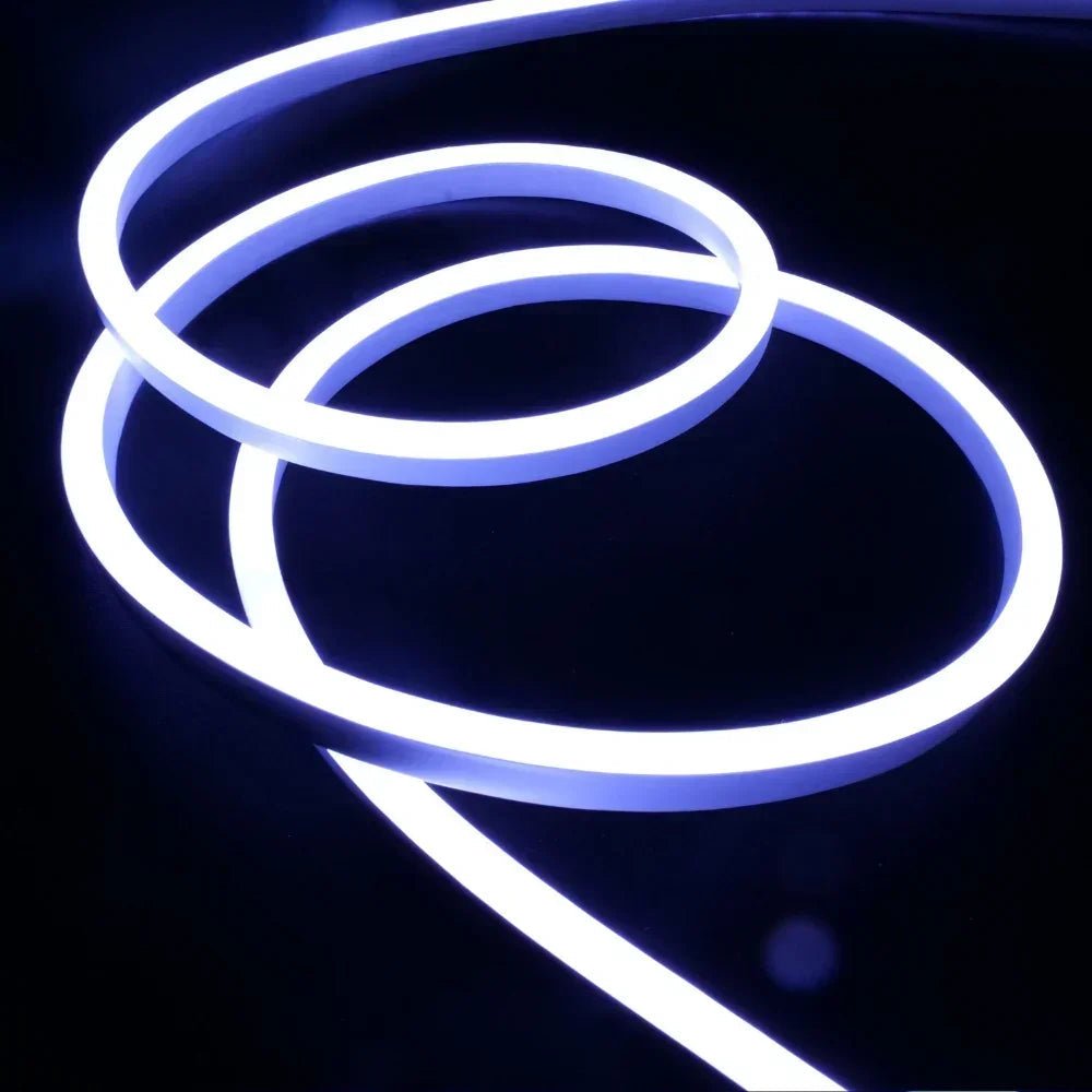 RGB LED Neon Flex 220V 240V 10x18mm IP65 Dimmable Wireless Bluetooth App Control with Remote - House of LEDS