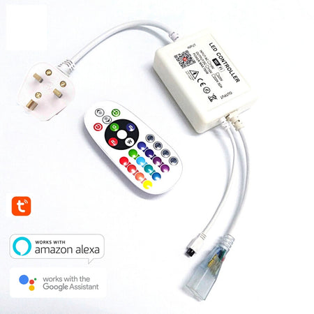 RGB Neon Flex 10x18mm 220V 240V WiFi Tuya APP LED controller with 24key Remote - House of LEDS