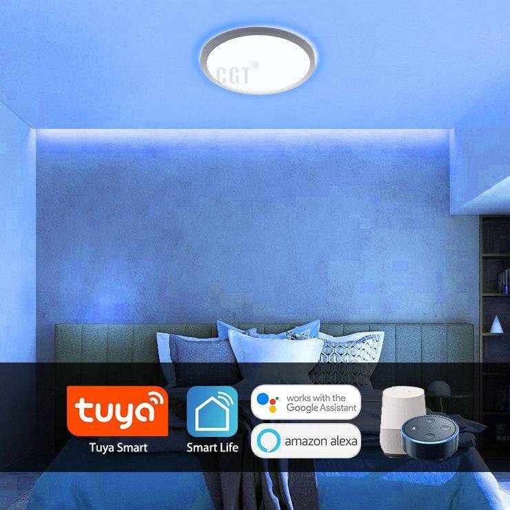 RGB Neon Flex 220V 240V 10x20mm Flat Shape IP65 WIFI App Control work with Alexa and Google — view 9 — House of LEDs UK