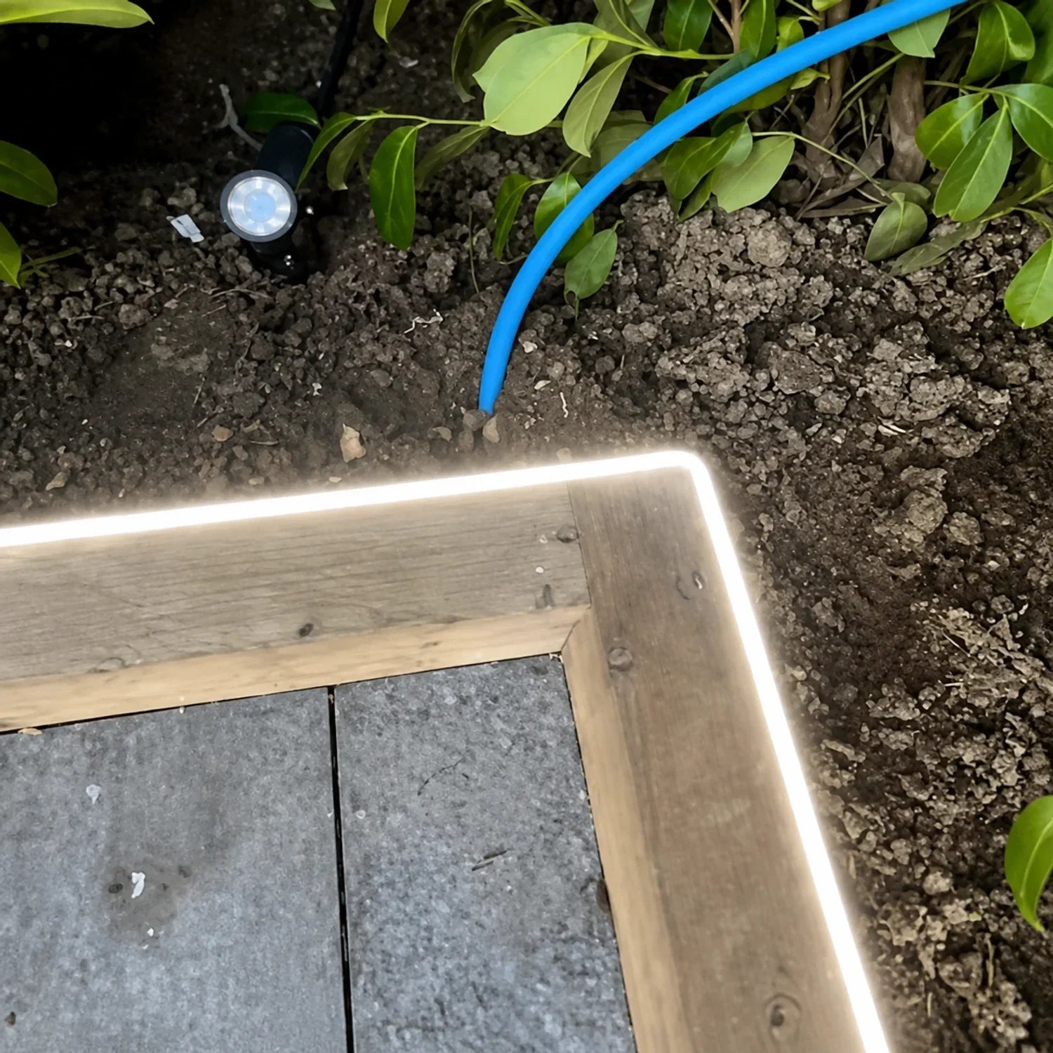 4000K side-bend Neon Flex outlining a timber garden edge, colour-adjusted installation illustration