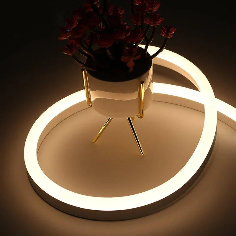 Warm White Neon Flex DC 12V IP65 Waterproof 8x16mm 120 LEDs/M Full Kit — House of LEDs UK
